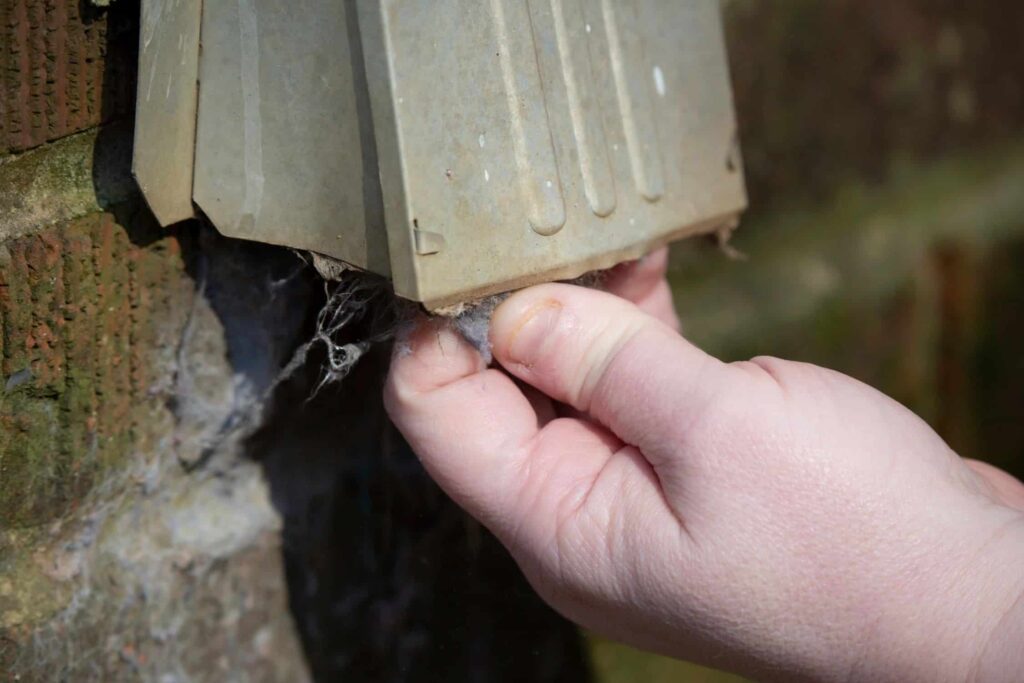 A Dallas dryer vent cleaning technician pulls lint out from the dryer exhaust vent on the outside of a home.