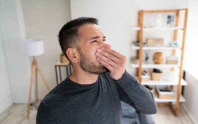 Dealing With Rodents In Air Ducts