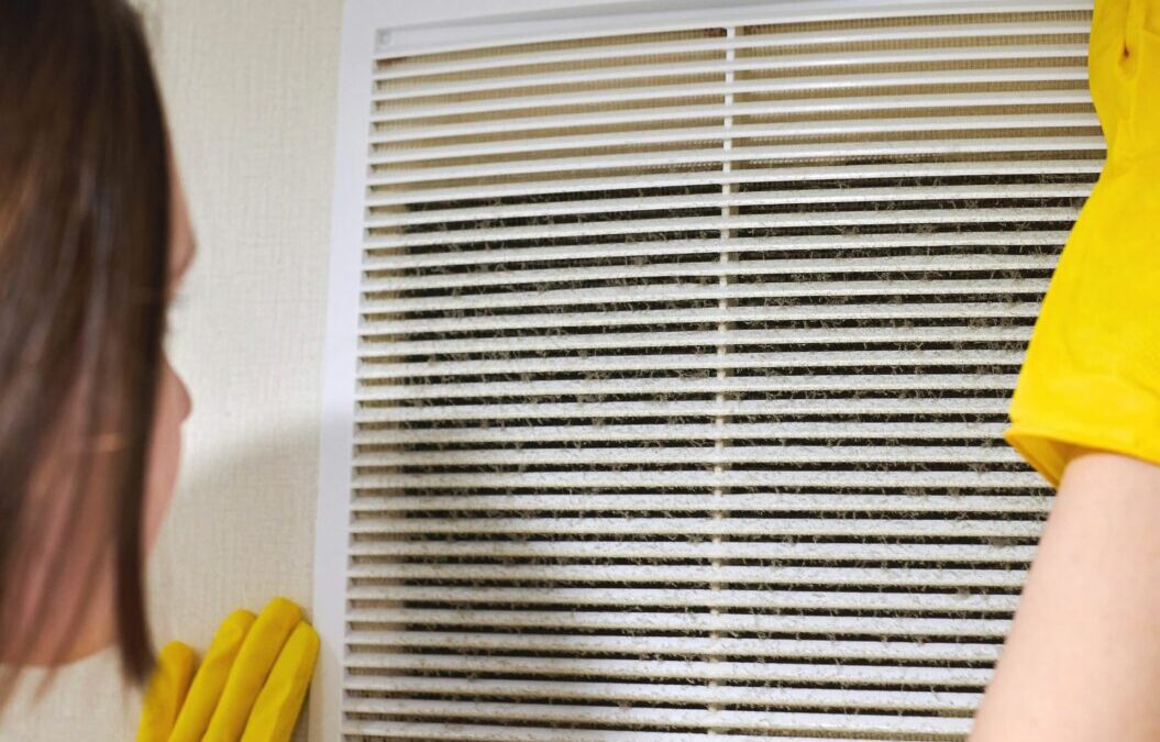 keeping air ducts clean for mold prevention